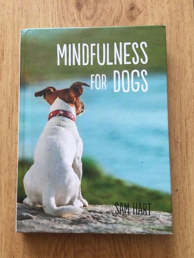 Mindfulness for dogs
