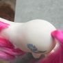 April Daisy Birthflower Birthday Mail Order MO HTF MLP G1 My Little Pony Image 3