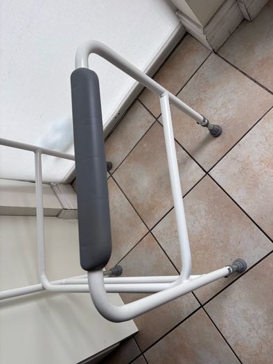 Toilet safety rail
