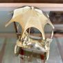 Vintage Brass Mid Century Frog with Umbrella Figurine 1970s Image 10