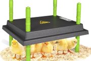 Chick Brooder Heating Plate, 10"x12"Chicken Brooder Heater with Adjustable Height for Baby Chick &amp; Duckling, 20W Brooder Plate for Up to 15 Chick, Replacement Heat Lamp Warm Like Mother Hen
