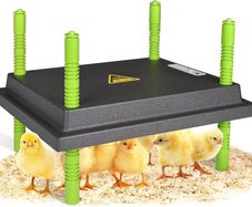Chick Brooder Heating Plate, 10"x12"Chicken Brooder Heater with Adjustable Height for Baby Chick & Duckling, 20W Brooder Plate for Up to 15 Chick, Replacement Heat Lamp Warm Like Mother Hen