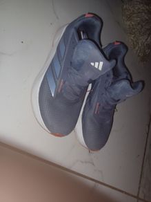 trainer/ Runners