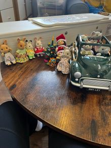 sylvanian family bundle