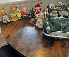 sylvanian family bundle