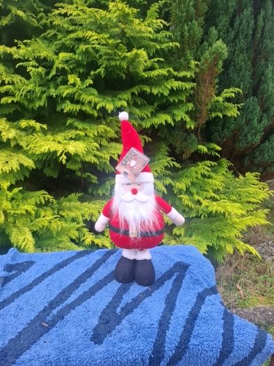 55cm brand new santa postage possible