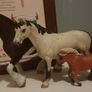 schleich horses bundle Image 3