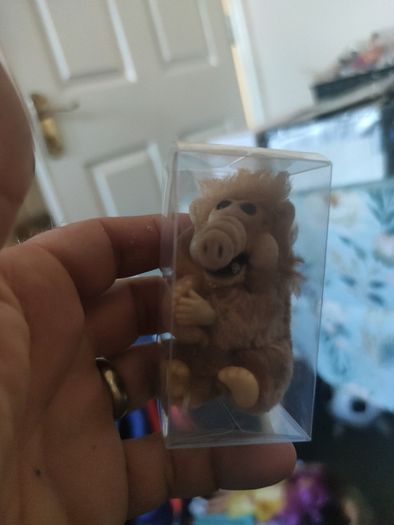 Alf