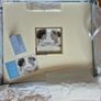 Newbridge Silver Wedding Photo Album Image 3
