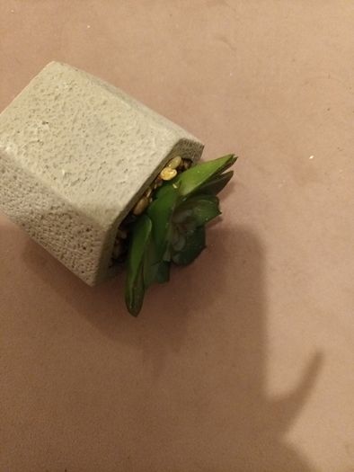 faux plant
