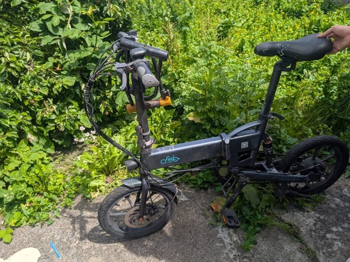 Fiido D2S Ebike