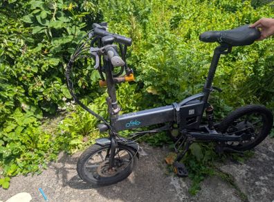 Fiido D2S Ebike