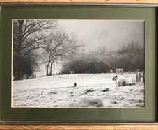 A Winters Scene
