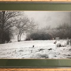 A Winters Scene
