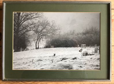 A Winters Scene