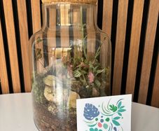 Terrarium - Glass Jar with Cork Lid