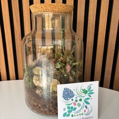 Terrarium - Glass Jar with Cork Lid