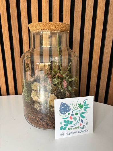 Terrarium - Glass Jar with Cork Lid