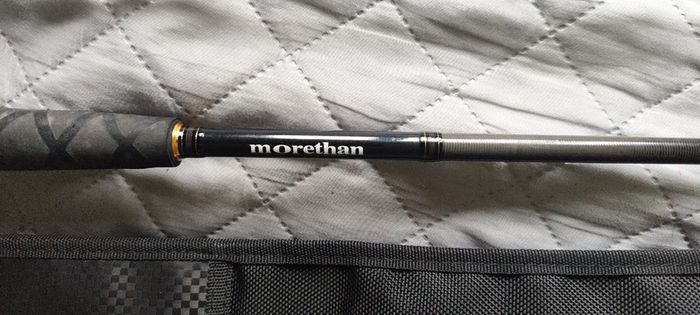 Rod Daiwa Morethan