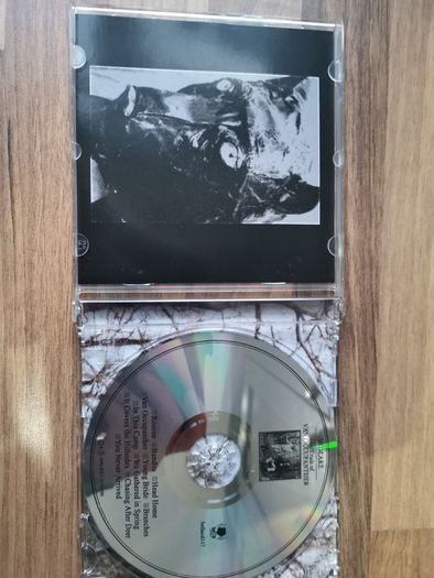 Midlake CD