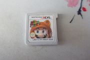 Super Mario 3D Land