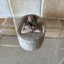 Willow Tree Figure & Keepsake Trinket Box Image 9