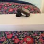 Apple Watch Series 10 42mm Cellular + GPS Image 2