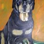 Pet portraits in Oils Image 3