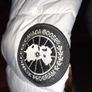 Canada Goose Image 4