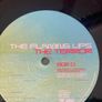 The Flaming Lips - The Terror Image 9