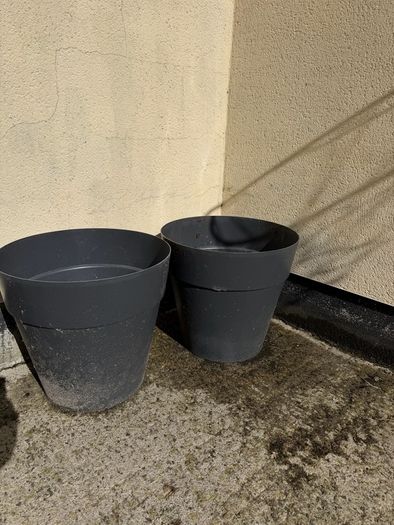 Large Plant Pots