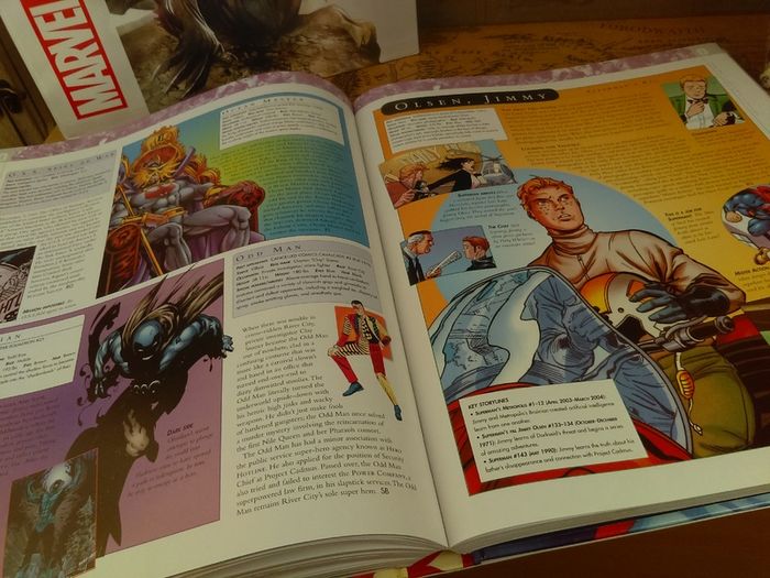 The DC Comics Encyclopedia ! The Definitive Guide To The Characters Of The DC Universe ! Beautiful Hardback !