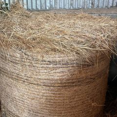 2025 Hay