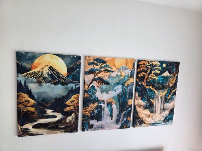 3 framed printed canvas 35x55cm each