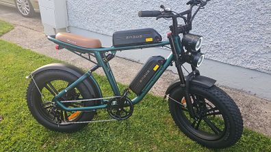 engwe m20 dual battery