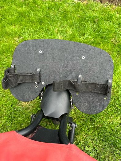 Delta Delichon Special Needs Buggy