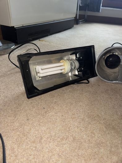 Reptile lamps