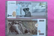 Syria  5,000  Pounds 2019 Pick 118a. UNC