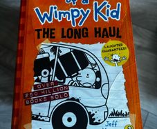 Diary of a wimpy kid books