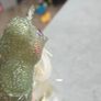 Mail Order Star Hopper Starhopper MO HTF Rare Sparkle Ponies MLP G1 My Little Pony Image 8