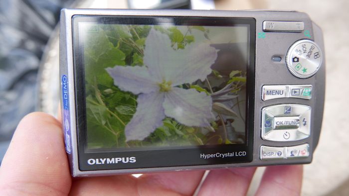 Olympus U1200 Digital Compact Camera 12MP (works well)