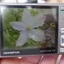 Olympus U1200 Digital Compact Camera 12MP (works well) Image 9