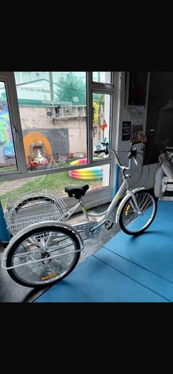 2 adult trike bikes for sale