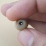 Vintage Middle Eastern Yemeni Suliemani Natural Eye Agate Bead Amulet Image 5