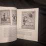 Oscar Wilde (Thames & Hudson Literary Lives) (Paperback) Image 4