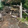 Reclaimed / fire wood Image 2