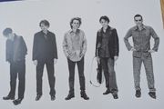 The Lemon Trees - Love is in Your Eyes