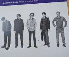 The Lemon Trees - Love is in Your Eyes