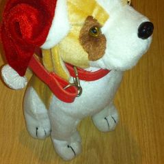 Dog teddy with Santa hat