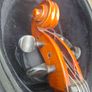 Beautiful Roderich Paesold model 601 3/4 Cello made in Germany in 1978 Image 6